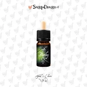 AZHAD'S ELIXIRS - Aroma Concentrato 10ml BURLEY