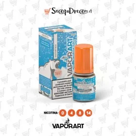 VAPORART - Liquido 10ml ANTARTIKA