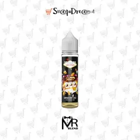 MR BLEND - Aroma Shot 20ml Flavours Las Vegas SLOT