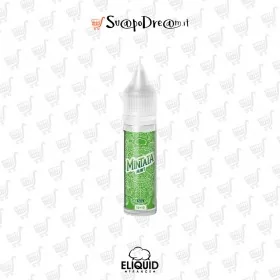 Aroma Mini Shot 10ml ELIQUID FRANCE Mintaia MINT