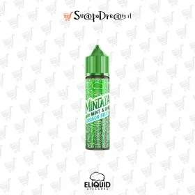 Aroma Shot 10ml ELIQUID FRANCE Mintaia MINT E DRAGON FRUIT