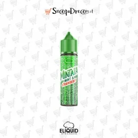 Aroma Shot 10ml ELIQUID FRANCE Mintaia MINT E STRAWBERRY
