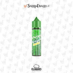 Aroma Shot 10ml ELIQUID FRANCE Mintaia MINT E PINEAPPLE