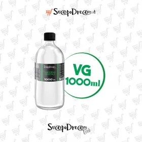 VG 1000 IN 1000