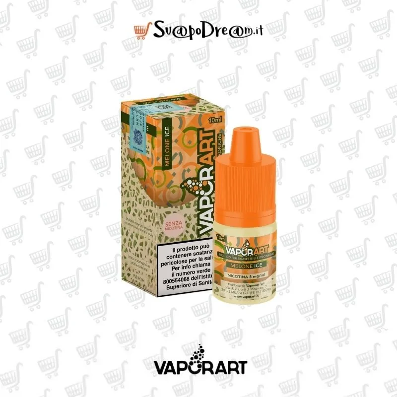 VAPORART - Liquido 10ml MELONE ICE