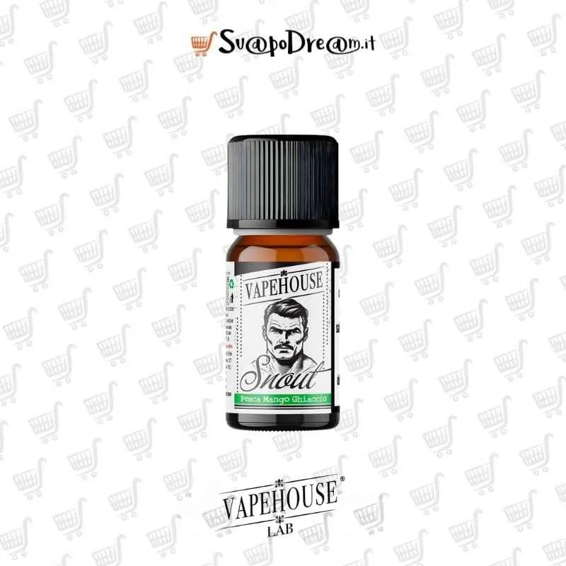 VAPEHOUSE LAB - Aroma Concentrato 10ml SNOUT